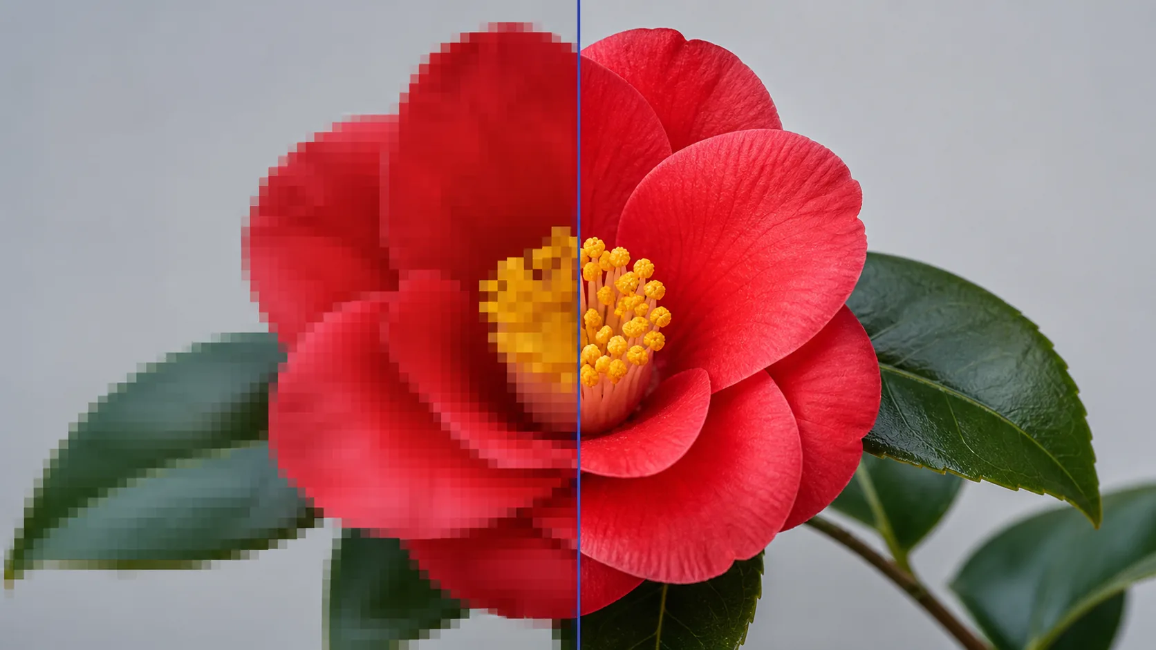 How AI Increases Image Resolution: AI vs Traditional Upscaling
